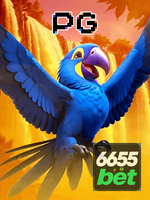 6655BET bônus — cashback 15 por cento e níveis VIP